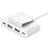 Belkin BoostCharge 4-Port USB Power Extender